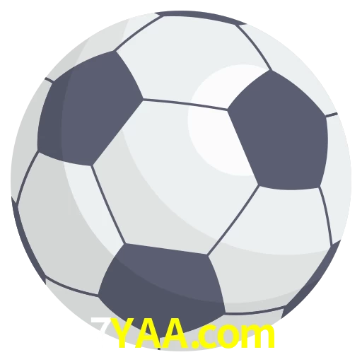Futebol